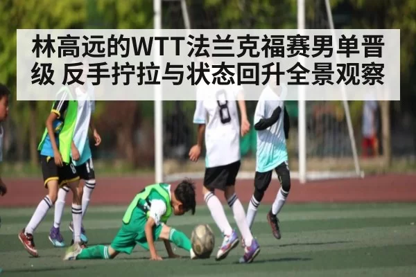 林高远的WTT法兰克福赛男单晋级 反手拧拉与状态回升全景观察
